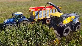 Eijsink-Ankersmid corn silage