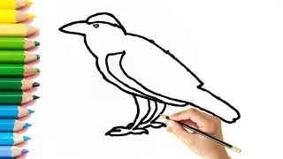 Crow Drawing and Coloring Birds Drawing for kids Toddlers #drawingvideo