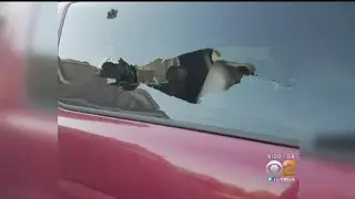 Several Car Windows Allegedly Shot Out In Lake Elsinore