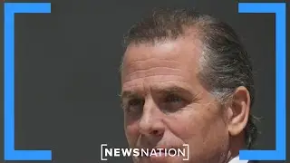Hunter Biden to plead not guilty to gun charges in Delaware court | Morning in America