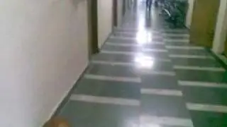 DELHI HIGH COURT SECURITY THREAT-DOG SLEEPING-05.07.2010.mp4