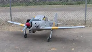 Percival P.56 Provost by Keith Hedge at SoCal Warbirds & Classics, 2018