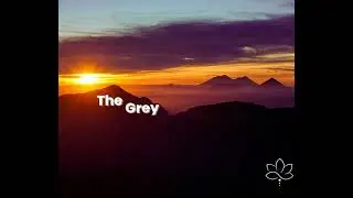 🌻 The Grey Rock Method Guide