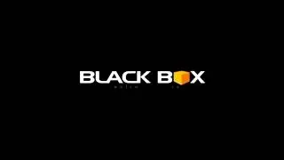 Electronic Arts/EA Black Box (2008, PS2/Wii variant)