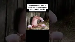 жиза? #мем #memes #мемы #aesthetic #vibes