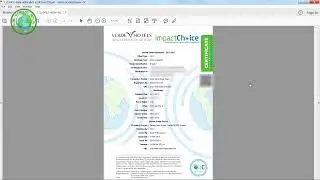 Earth Coin planning vision