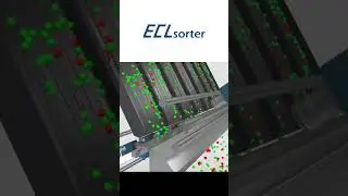 How does the color sorter work？