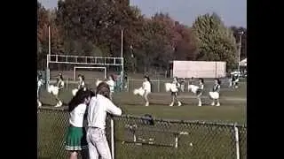 1990 Valley Stream North High School Rangerettes Franklin Square NY