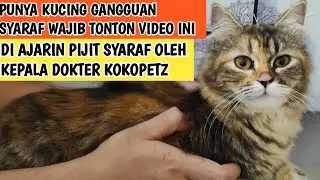 DI AJARIN CARA PIJAT SYARAF KUCING OLEH KEPALA DOKTER KOKOPETZ @miumeow