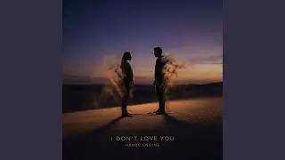 I Don't Love You (AI)