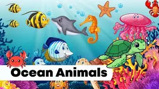 Ocean Animals for Toddlers 🐠|Pictures & Videos! Baby Learning: Ocean Animals🐢🌊 #oceananimalsforkids 