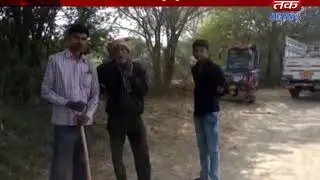 Kevdra : Illegal tree caught in the cutting