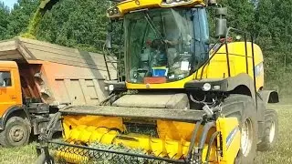 Silage 2016| Live| New Holland FR500 chopping grain-haylage| Комбайн FR500 заготовка кормов 2016|