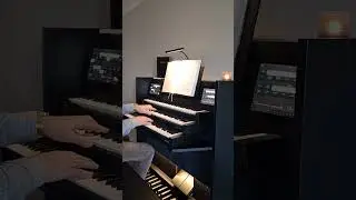 Nieuwjaarsdag/ psalm 91