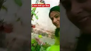 life lessons #garden #gardenflowers #plantsofindia #tips #nature #viralvideo #viral #shorts