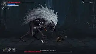 Manfredd the Accursed