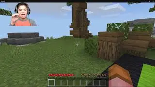 Minecraft Mineplex Mini Games