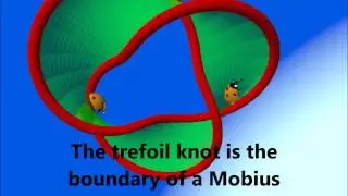 amazing trefoil knot