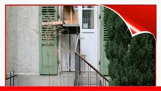 BrigitteSchuster Documents Charming Cat Ladders In Switzerland 😃