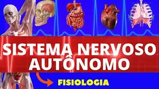 SISTEMA NERVOSO AUTÔNOMO SIMPÁTICO E PARASIMPÁTICO (FISIOLOGIA DE GUYTON) - SISTEMA NERVOSO
