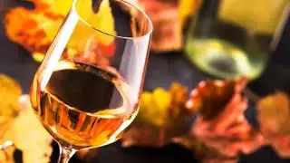 Your guide to the perfect autumn wines