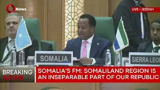 Somali envoy: We reject any use of so-called Somaliland for foreign military operations