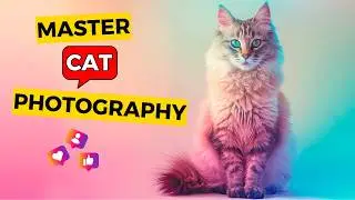 Top 7 Secrets to Mastering Cat Photography: Get Professional Shots at Home!