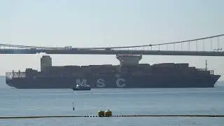 Container Ship《MSC LEANNE》Crossing the Tsing Ma Bridge in HK 20260111_C0012