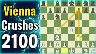 The Vienna is TOO EASY (Destroying a 2100 Player)