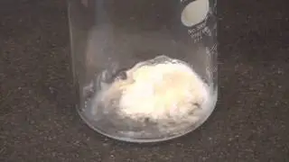 ADLC - Elementary Science: Reversible and Irreversible Changes