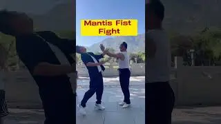 Mantis fist fight, each move hits the vital point. #kungfu