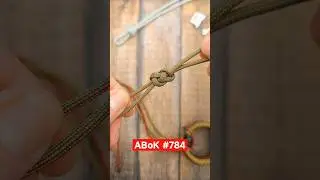 Mastering the Knots: Explore the Fascinating Paracord Knot ABoK #784!#shortvideo #shorts #short