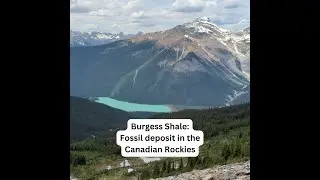 Burgess Shale fossil bed in Canadian Rockies