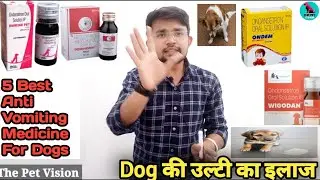 vomiting in dogs || top 5 anti-vomiting medicine for dogs || dog में उल्टी का करे ईलाज 😊 || vet dr.
