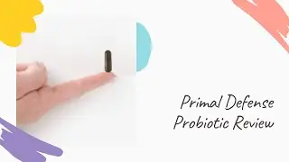 Primal Defense Probiotic Review