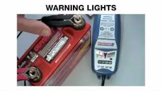 OptiMate 5 : LED indicator lights