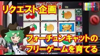 【メダルゲーム】リクエスト企画！フォーチュンキャットのフリーゲームを育てる【BAYON公式】