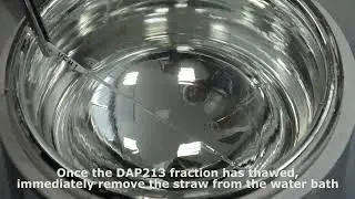 Warming procedure for embryo vitrification in straws