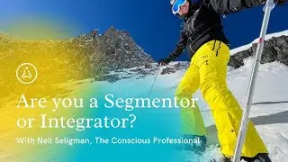 Are you a Segmentor or Integrator? - with Neil Seligman