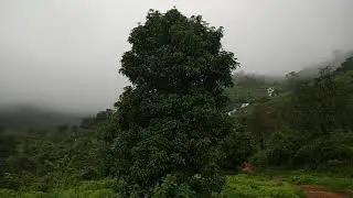 Dont miss this in monsoon- Weekend Gateway near Pune - Khandi waterfall