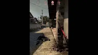 Лучшие игроки AWP всех времен