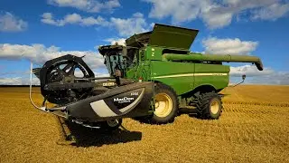 Girls Vs. Wheat Harvest Struggles! 
