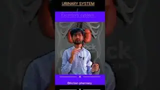 Urinary System | Kidney | Excretory System | Urine Formation Explained in Hindi
