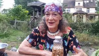Gobo root aka burdock - Easy Herbal Medicine with Susun Weed