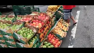 Rua cantareira  frutas