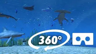 UNDERWATER SHARKS 360&deg; VR - BUT YOU are the size of a Crab - TheBlu Virtual Reality Experience