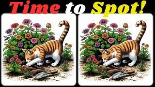 Spot The Difference ◆ It's not difficult, but A Little Tricky! Can U Find 3 differences? 🆓415