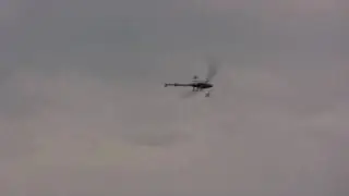 Edmond flight testing the Torsion 600 CF  blades with his Trex600ESP