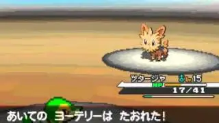 Pok&eacute;mon White: Striaton City Gym