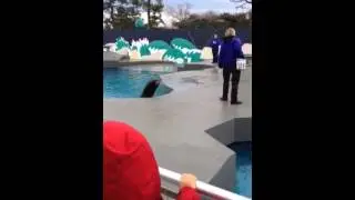 NY Aquarium
